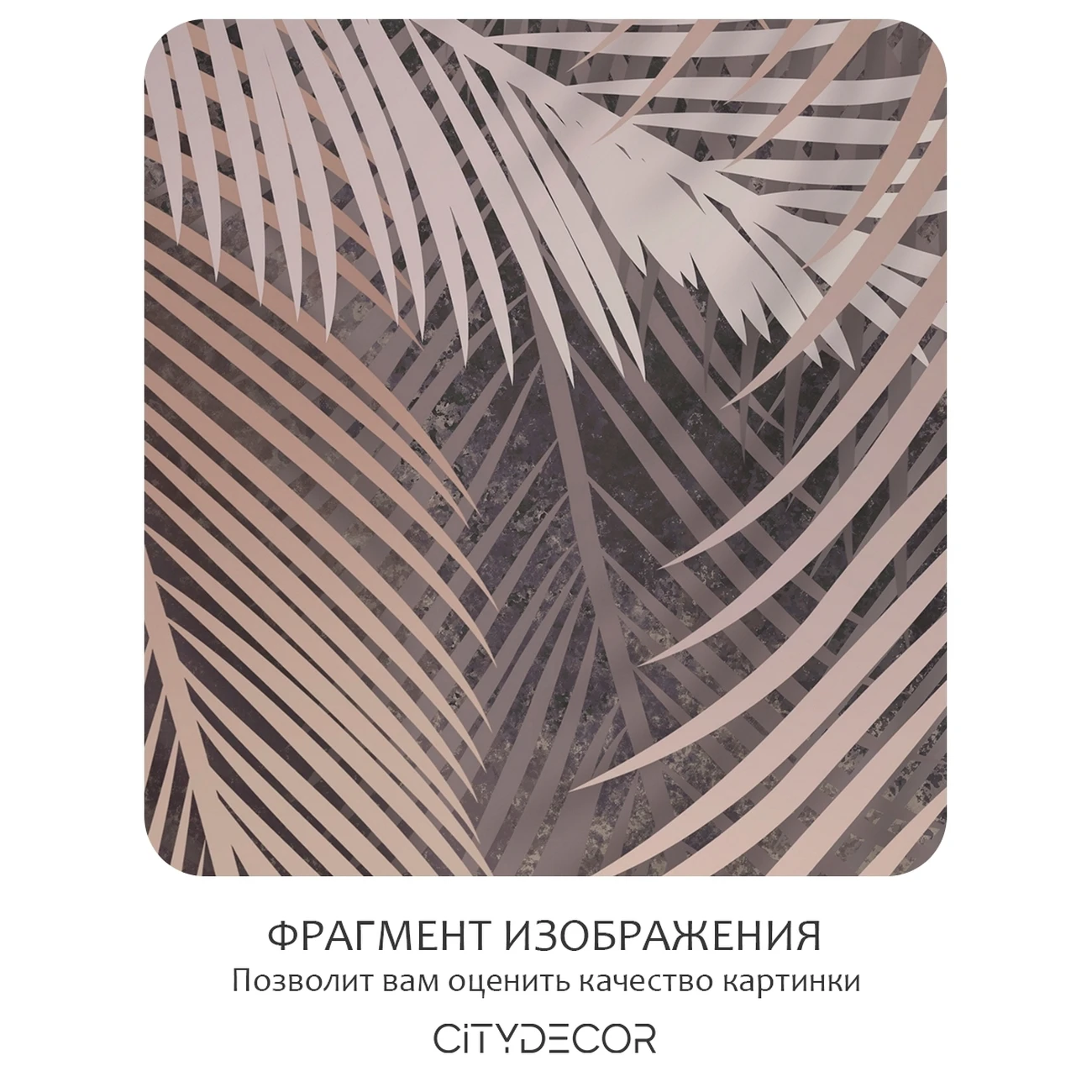 Фотообои рулонные Citydecor Пальмовые листья 79 на флизелиновой основе 300x260 см