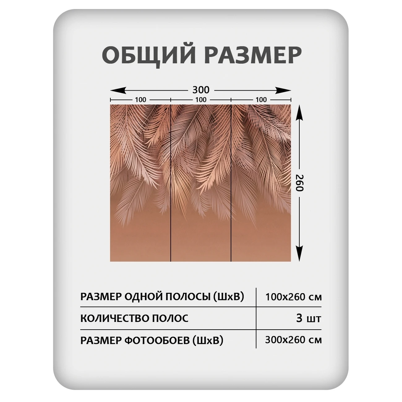 Фотообои рулонные Citydecor Пальмовые листья 80 на флизелиновой основе 300x260 см