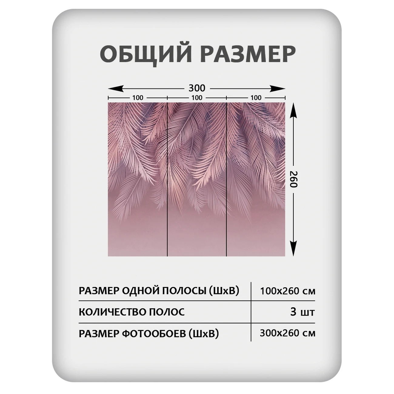 Фотообои рулонные Citydecor Пальмовые листья 81 на флизелиновой основе 300x260 см