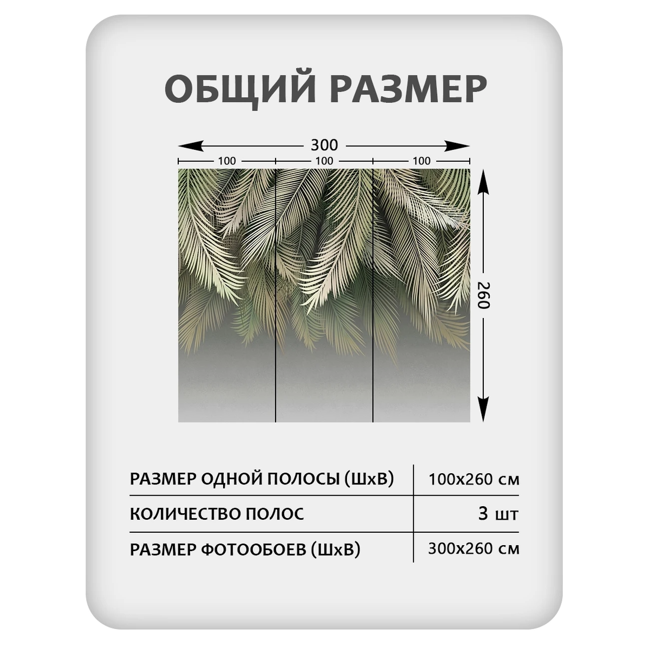 Фотообои рулонные Citydecor Пальмовые листья 84 на флизелиновой основе 300x260 см