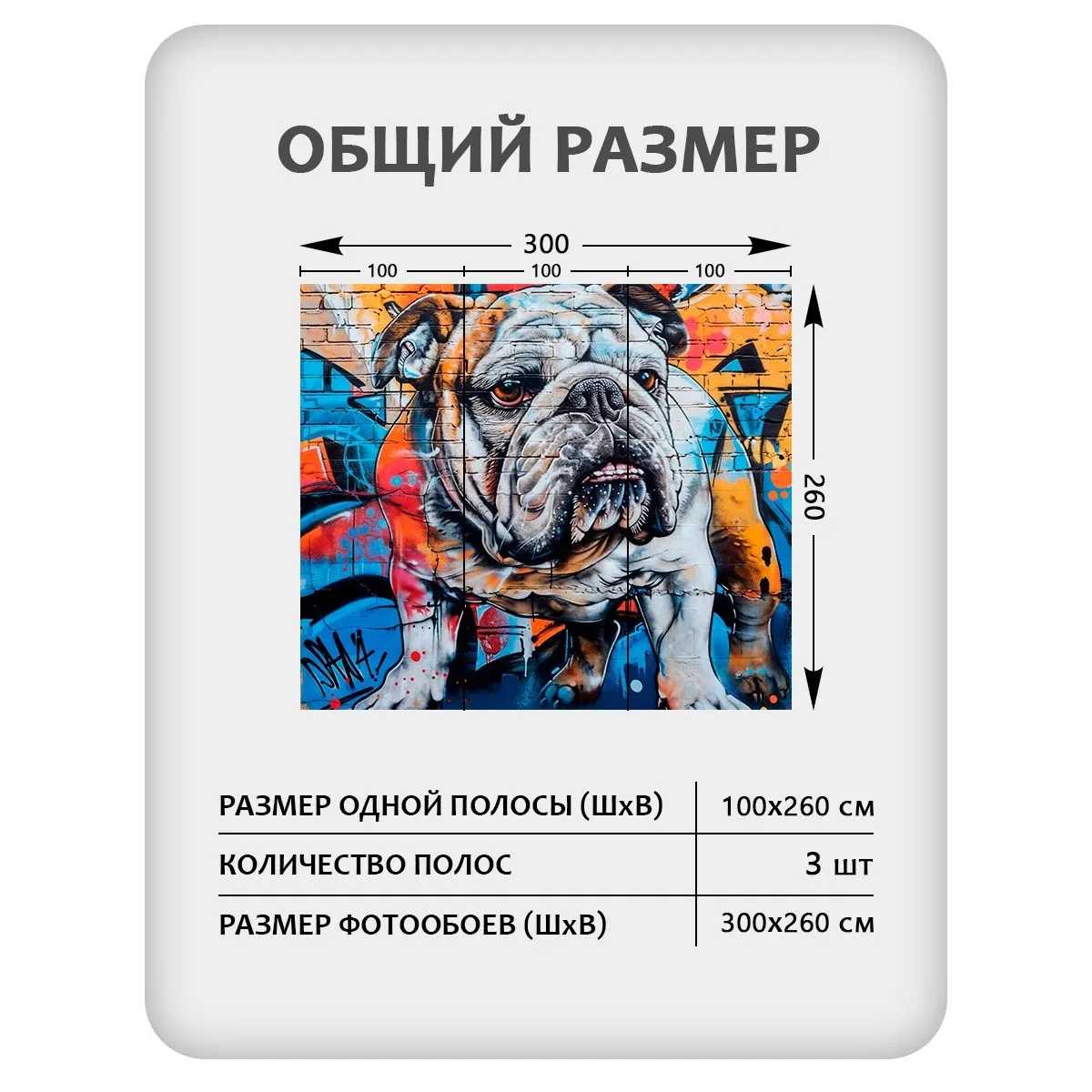 Фотообои рулонные Citydecor El Tomasio на флизелиновой основе 300x260 см