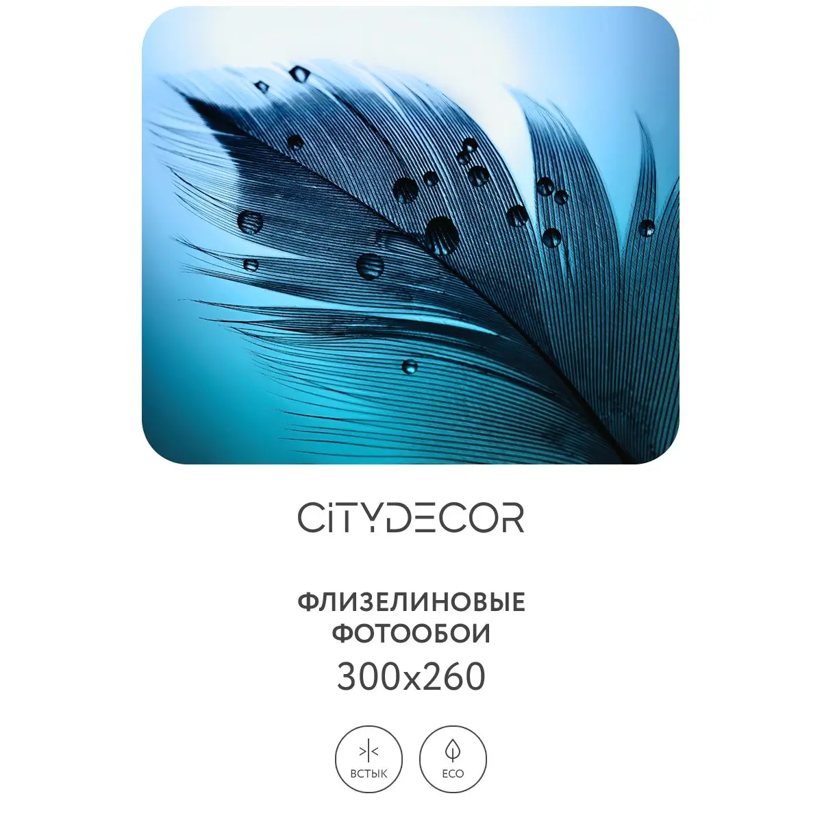 Фотообои рулонные Citydecor Абстракция 230 на флизелиновой основе 300x260 см