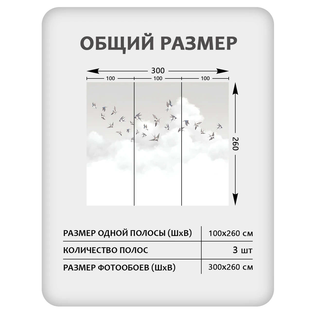 Фотообои рулонные Citydecor Air 10 на флизелиновой основе 300x260 см