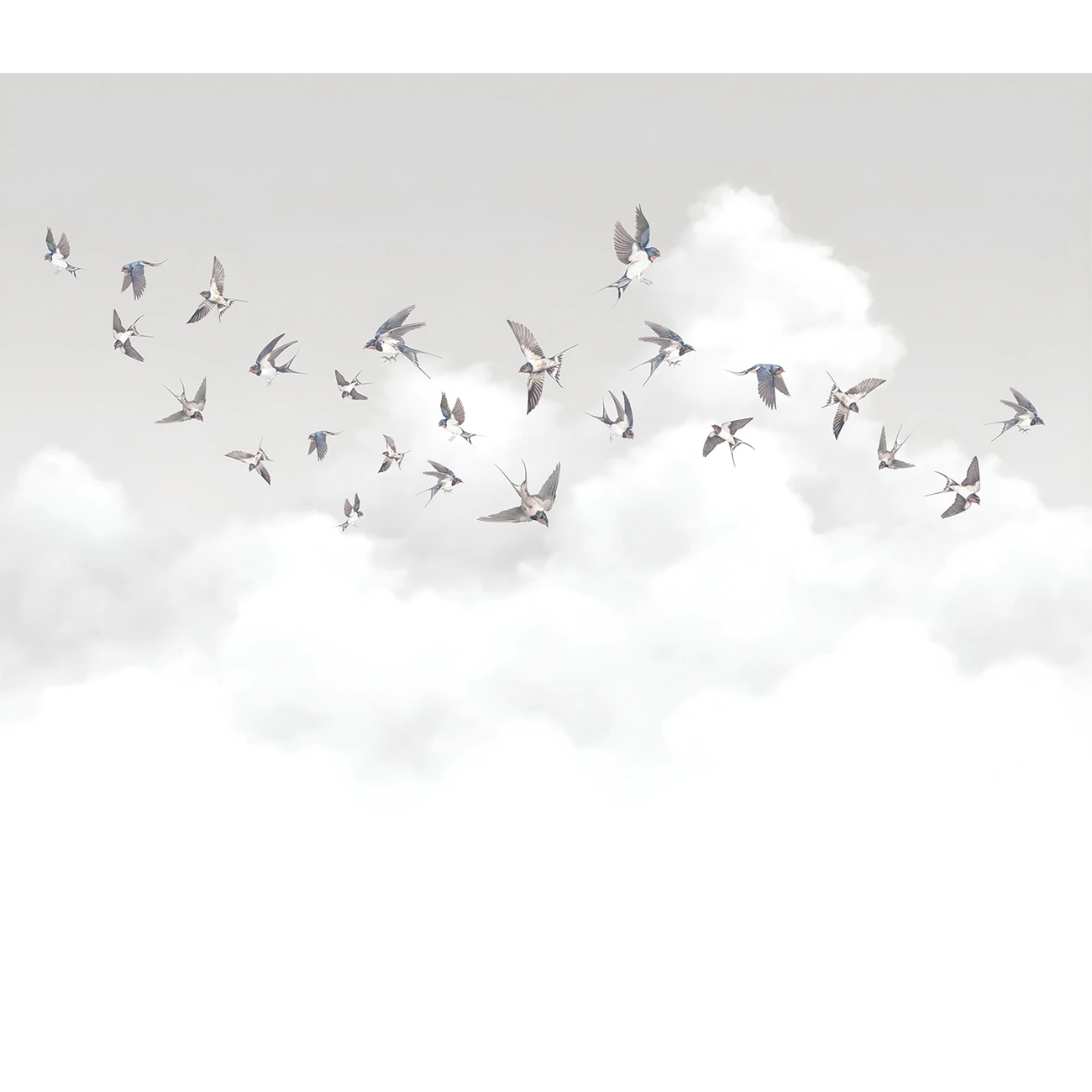 Фотообои рулонные Citydecor Air 10 на флизелиновой основе 300x260 см