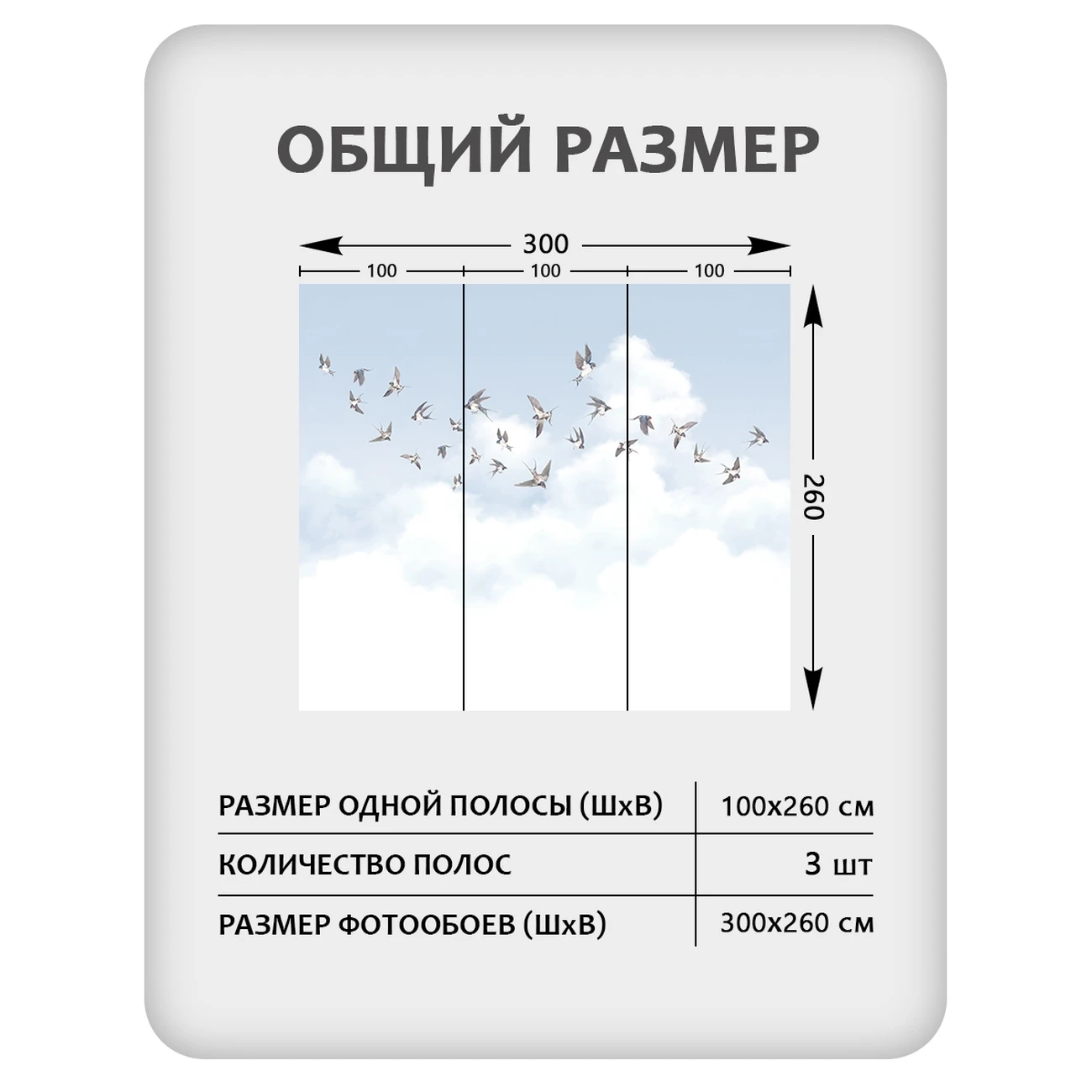 Фотообои рулонные Citydecor Air 11 на флизелиновой основе 300x260 см
