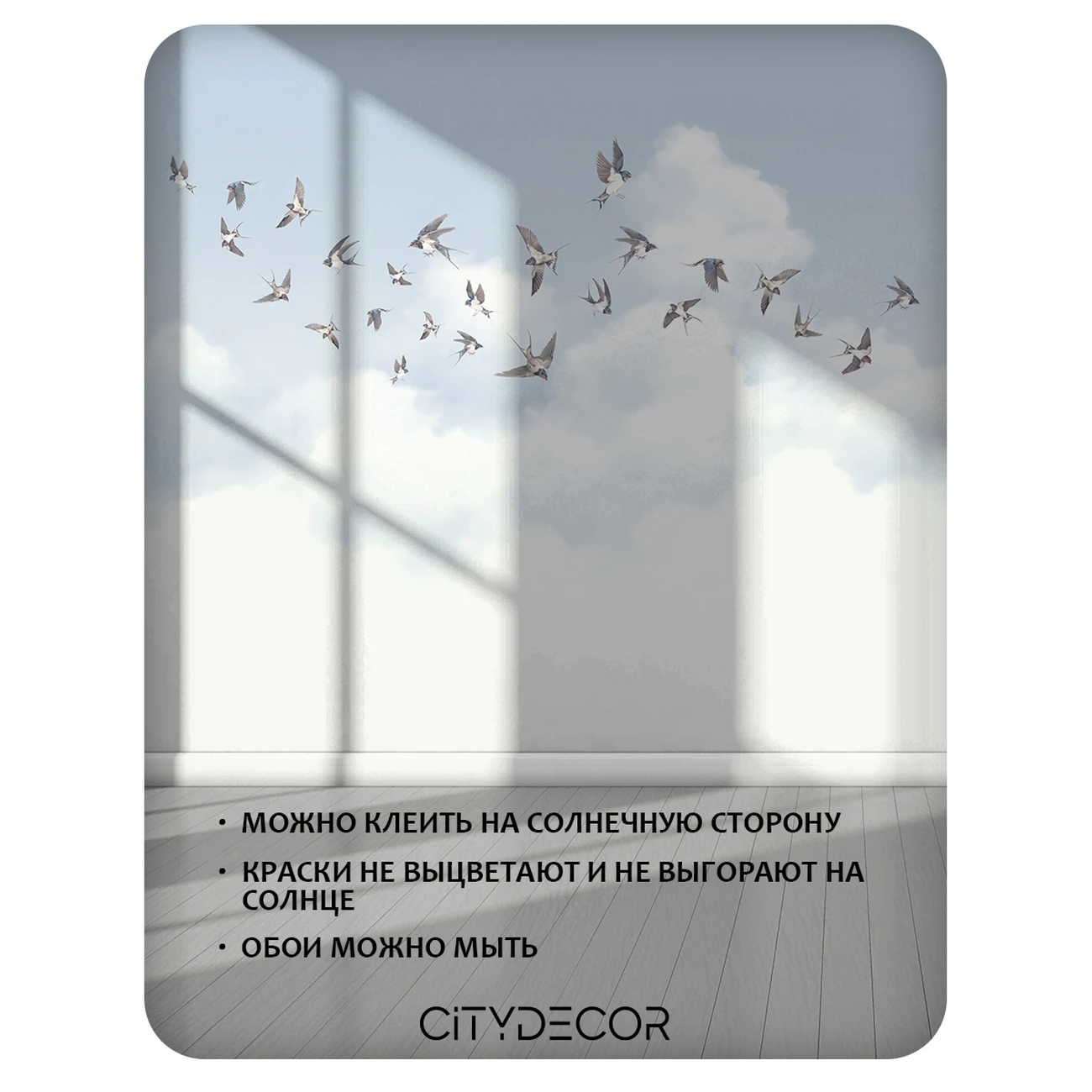 Фотообои рулонные Citydecor Air 11 на флизелиновой основе 300x260 см