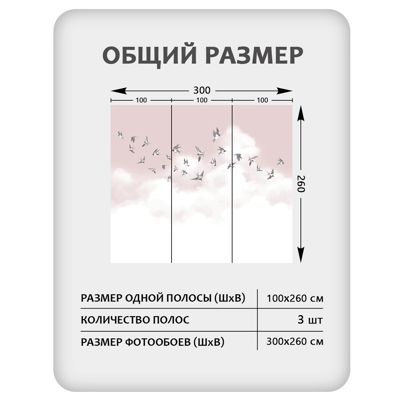 Фотообои рулонные Citydecor Air 12 на флизелиновой основе 300x260 см