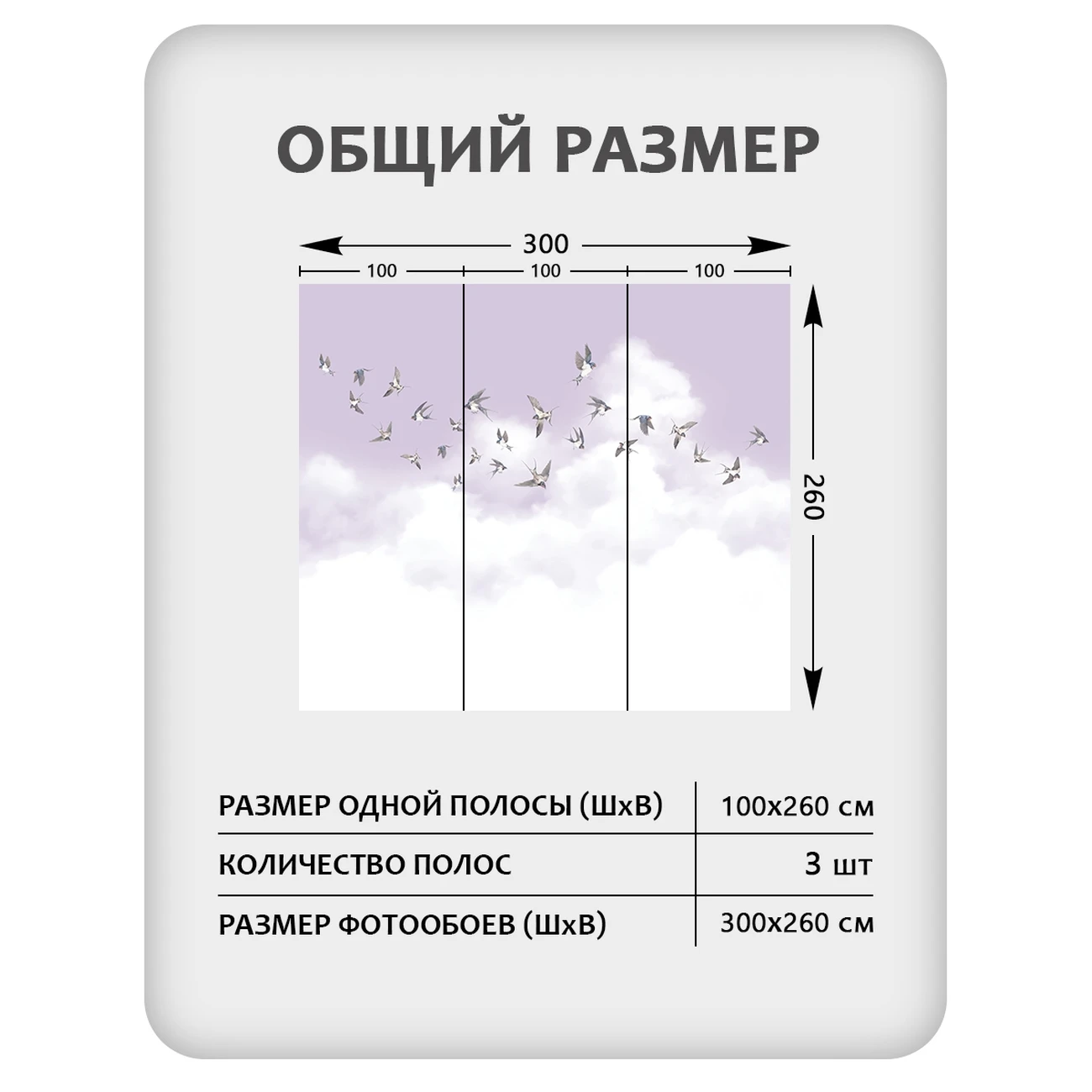 Фотообои рулонные Citydecor Air 13 на флизелиновой основе 300x260 см