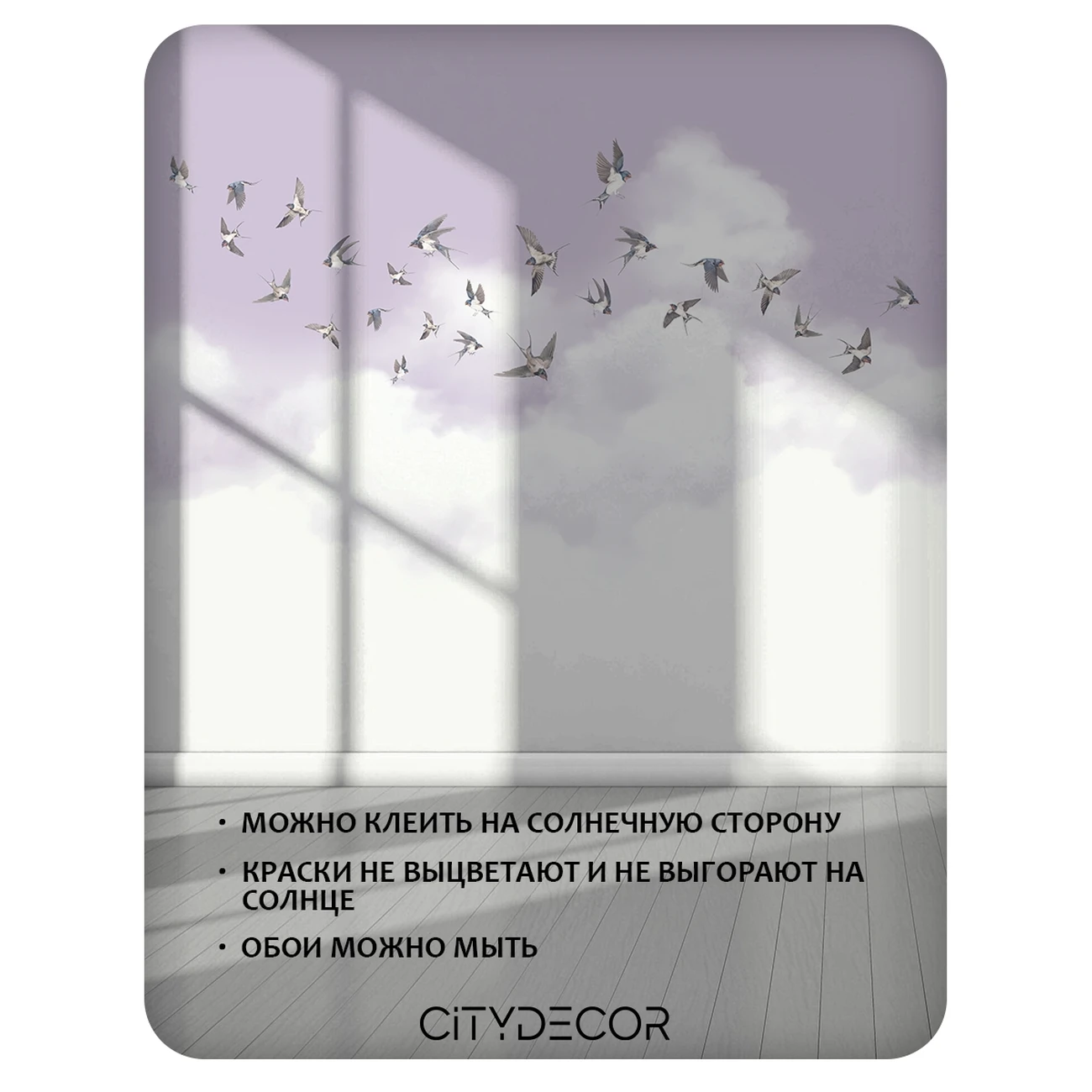 Фотообои рулонные Citydecor Air 13 на флизелиновой основе 300x260 см