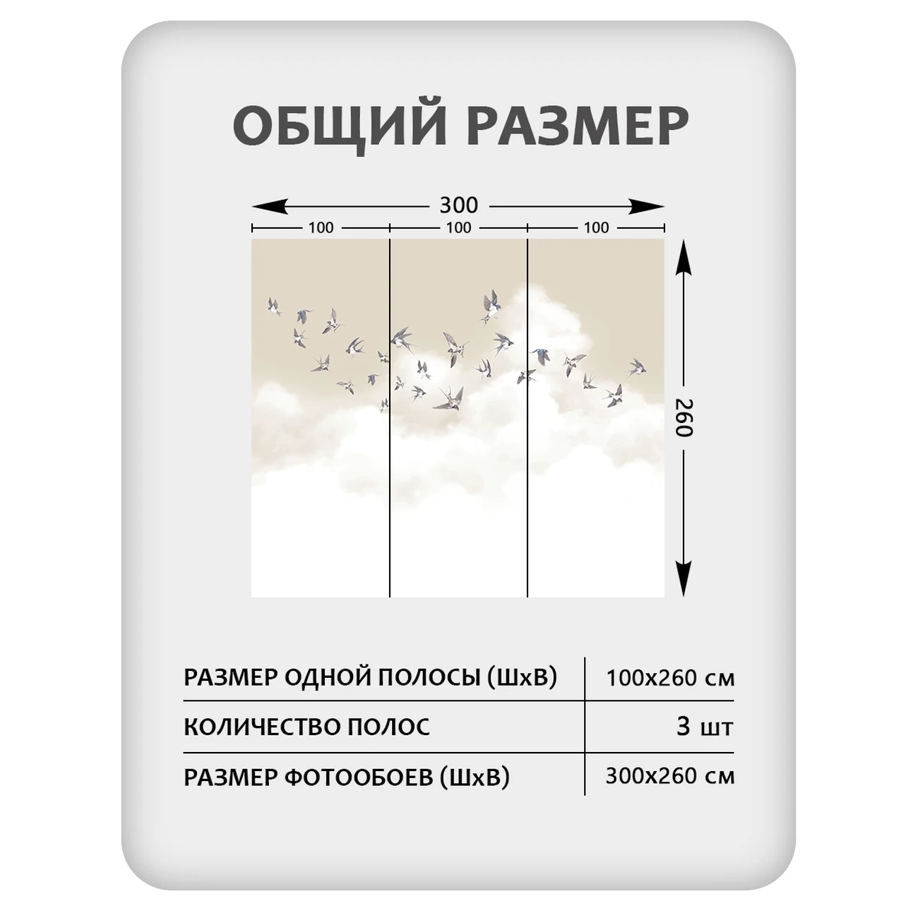 Фотообои рулонные Citydecor Air 14 на флизелиновой основе 300x260 см