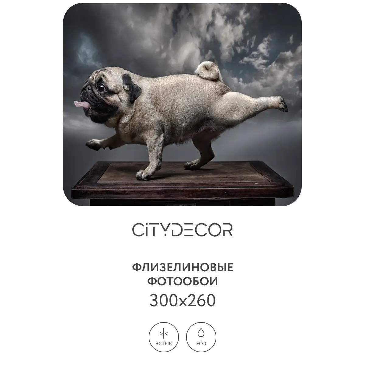 Фотообои рулонные Citydecor Животные и Птицы 13 на флизелиновой основе 300x260 см