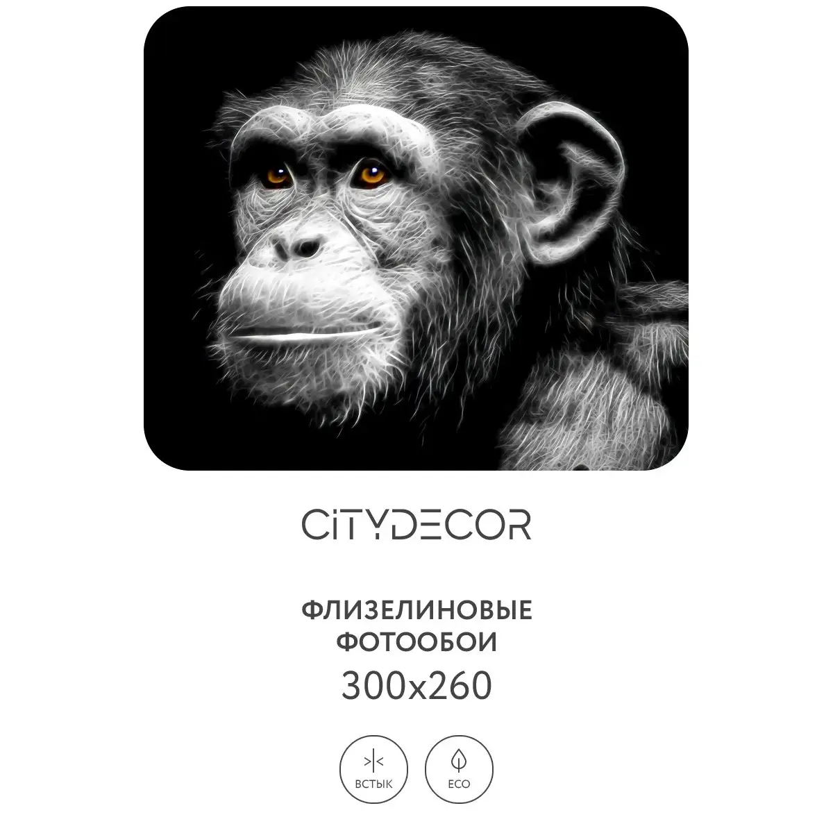 Фотообои рулонные Citydecor Животные и Птицы 5 на флизелиновой основе 300x260 см