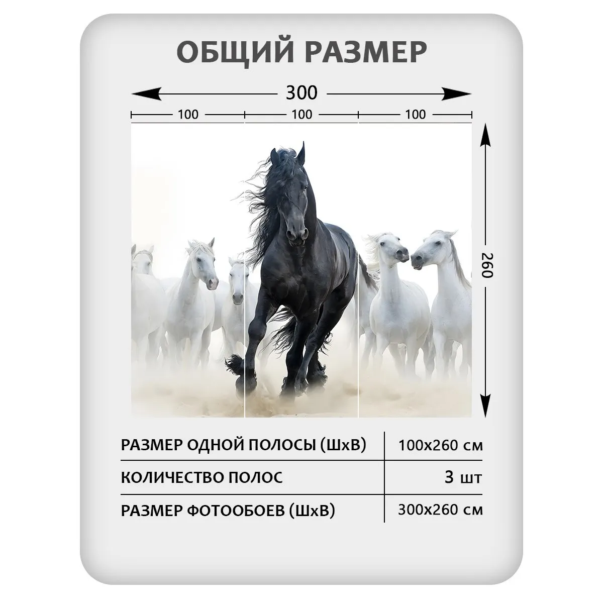 Фотообои рулонные Citydecor Животные и Птицы 54 на флизелиновой основе 300x260 см