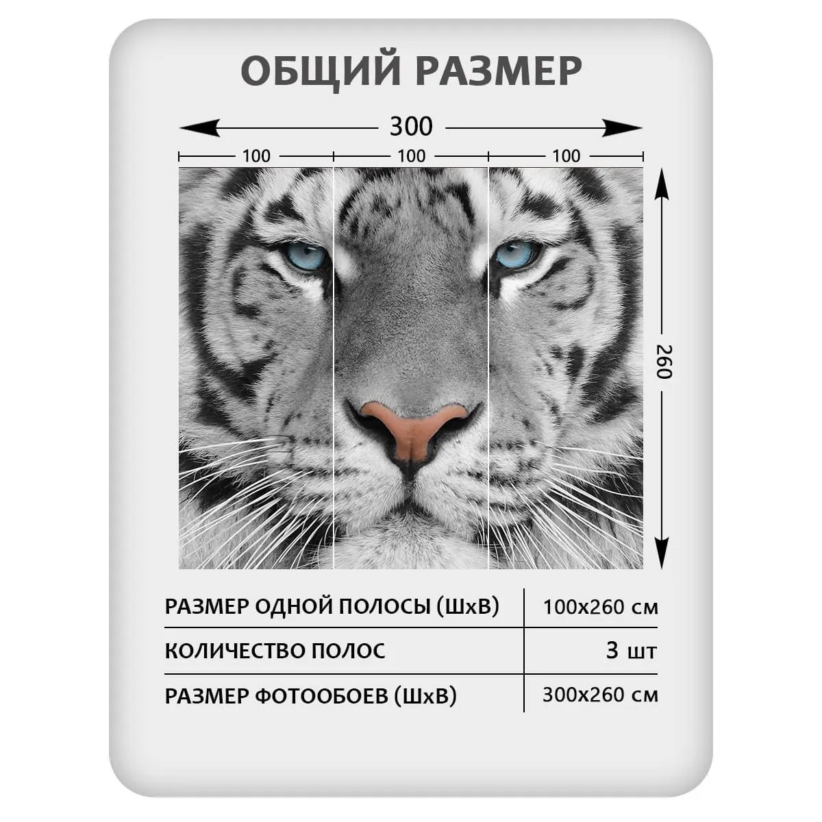 Фотообои рулонные Citydecor Животные и Птицы 55 на флизелиновой основе 300x260 см