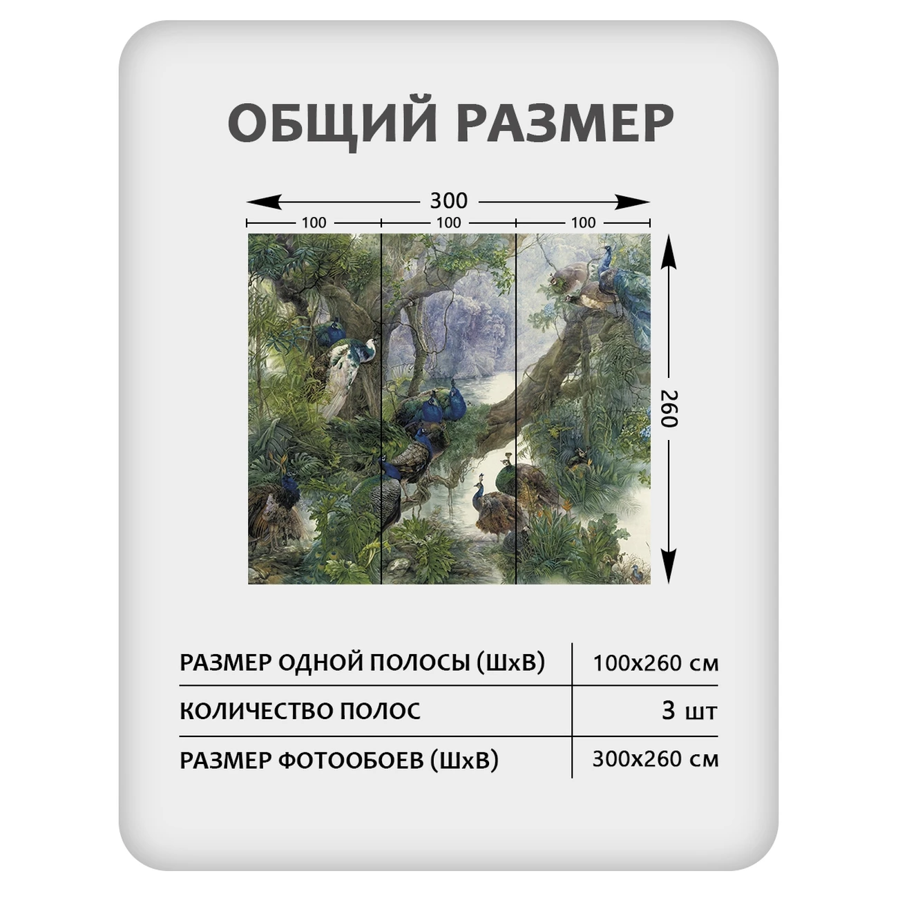 Фотообои рулонные Citydecor Животные и Птицы 57 на флизелиновой основе 300x260 см