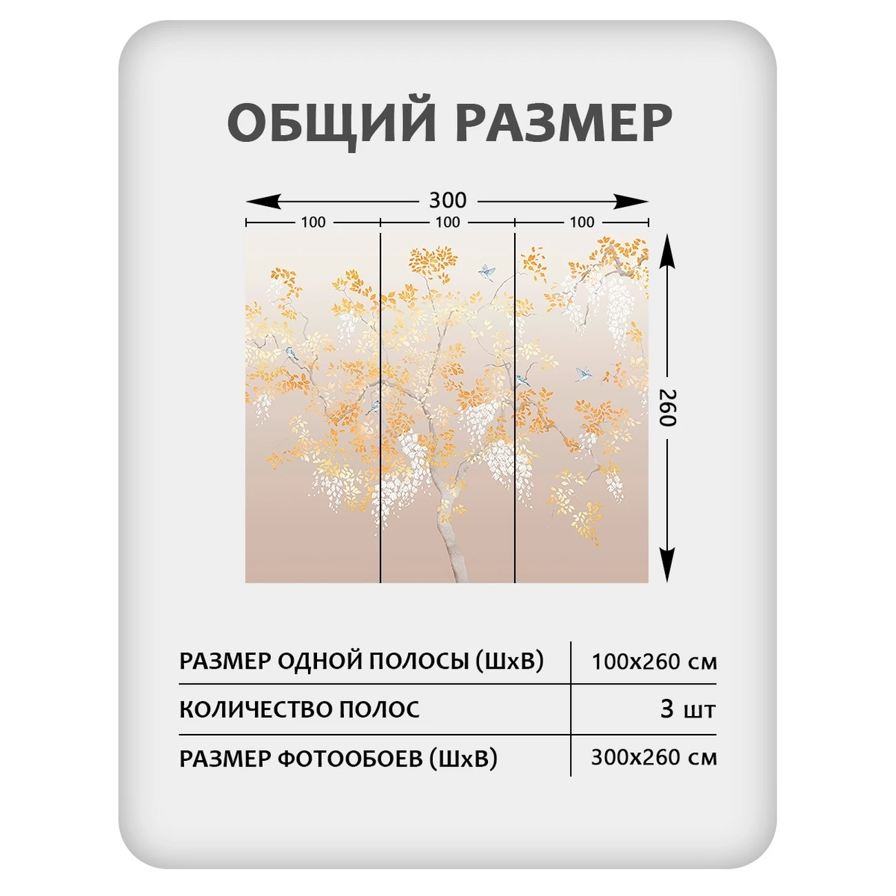 Фотообои рулонные Citydecor Blossom 28 на флизелиновой основе 300x260 см