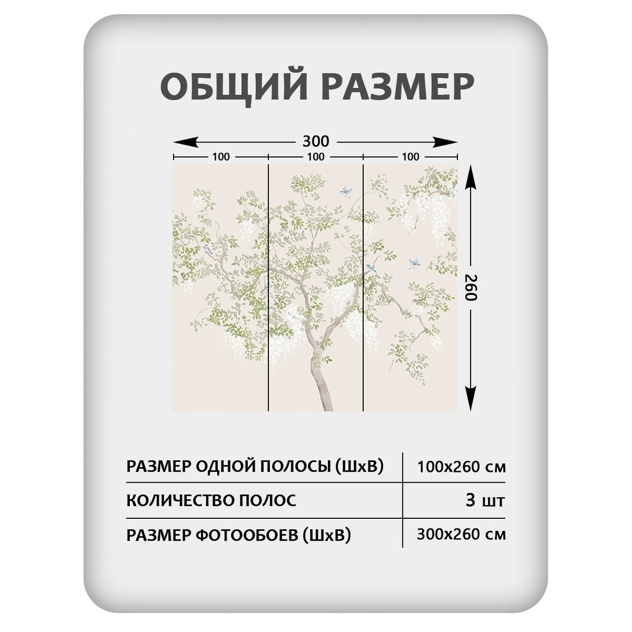 Фотообои рулонные Citydecor Blossom 29 на флизелиновой основе 300x260 см