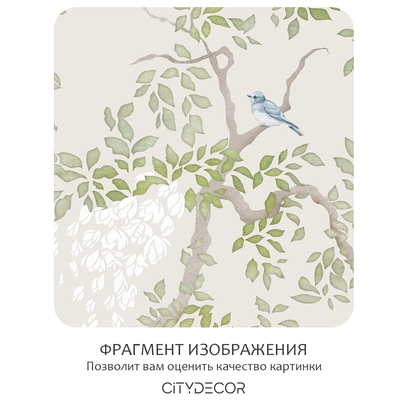 Фотообои рулонные Citydecor Blossom 29 на флизелиновой основе 300x260 см