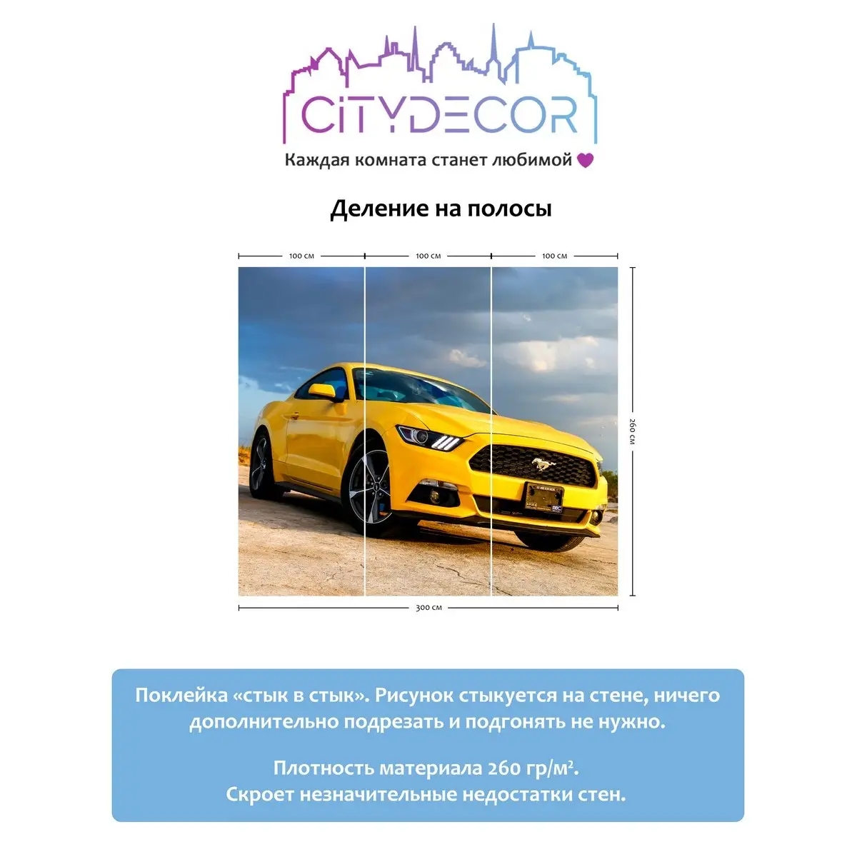 Фотообои рулонные Citydecor Транспорт 24 на флизелиновой основе 300x260 см