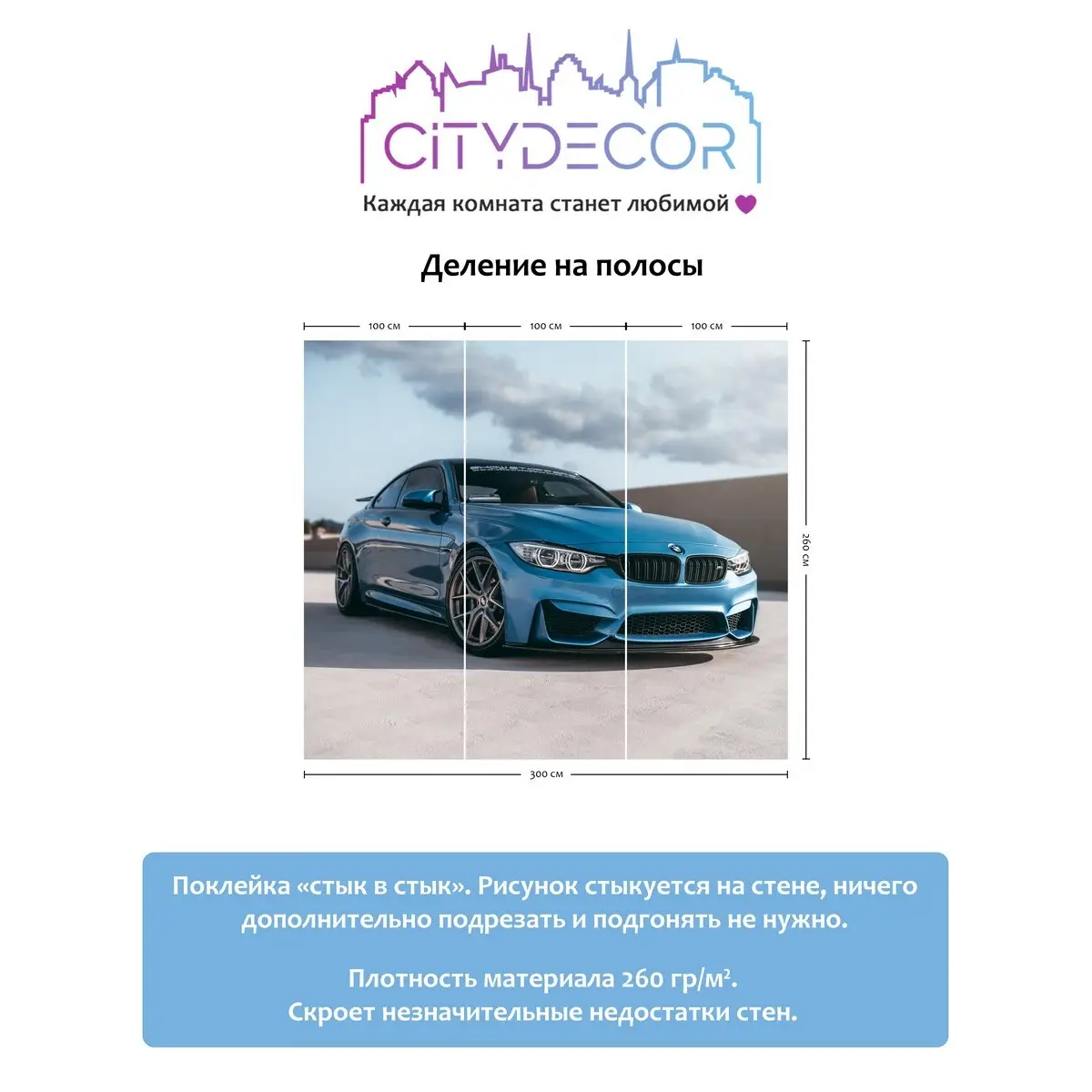 Фотообои рулонные Citydecor Транспорт 30 на флизелиновой основе 300x260 см