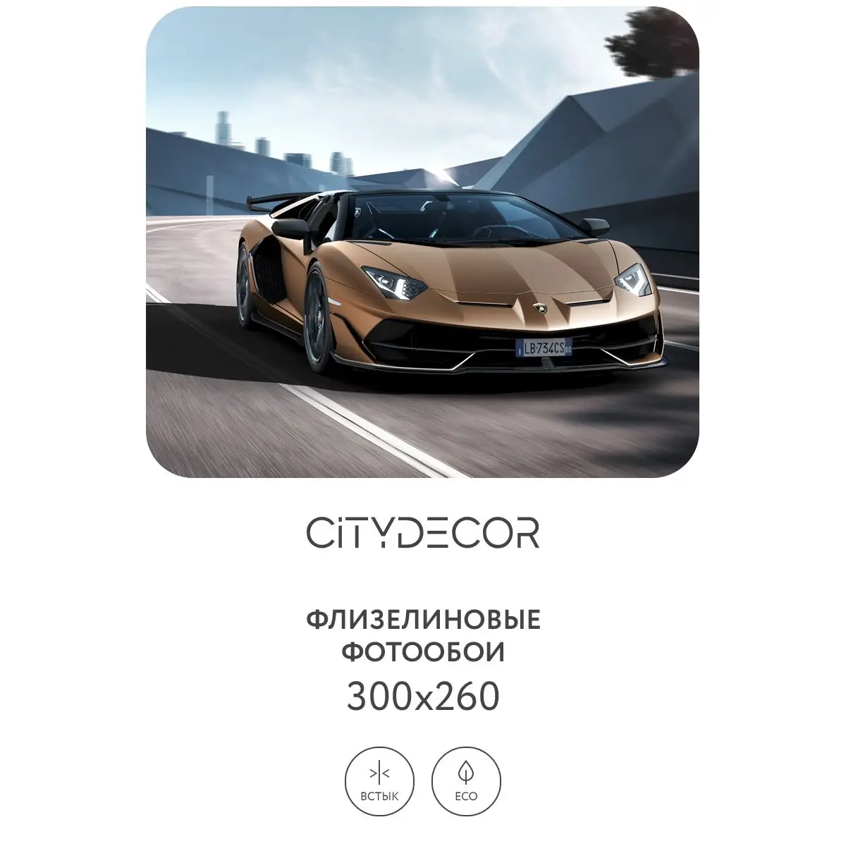 Фотообои рулонные Citydecor Транспорт 9 на флизелиновой основе 300x260 см