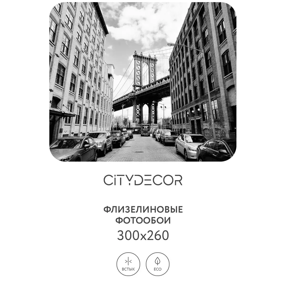 Фотообои рулонные Citydecor Города и Архитектура 49 на флизелиновой основе 300x260 см