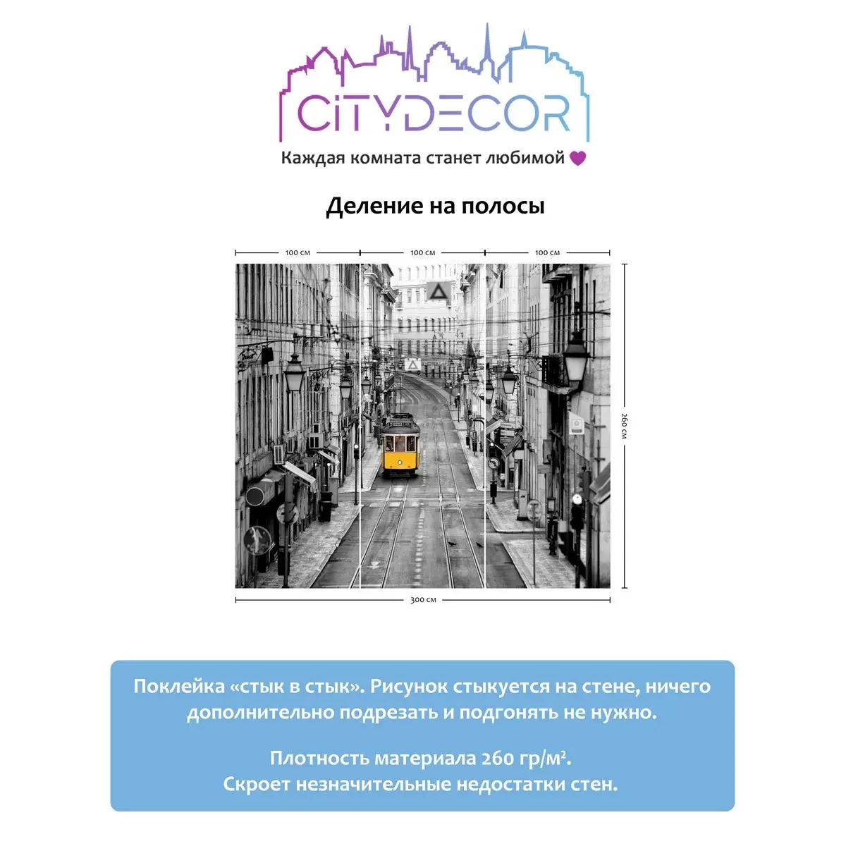 Фотообои рулонные Citydecor Города и Архитектура 51 на флизелиновой основе 300x260 см