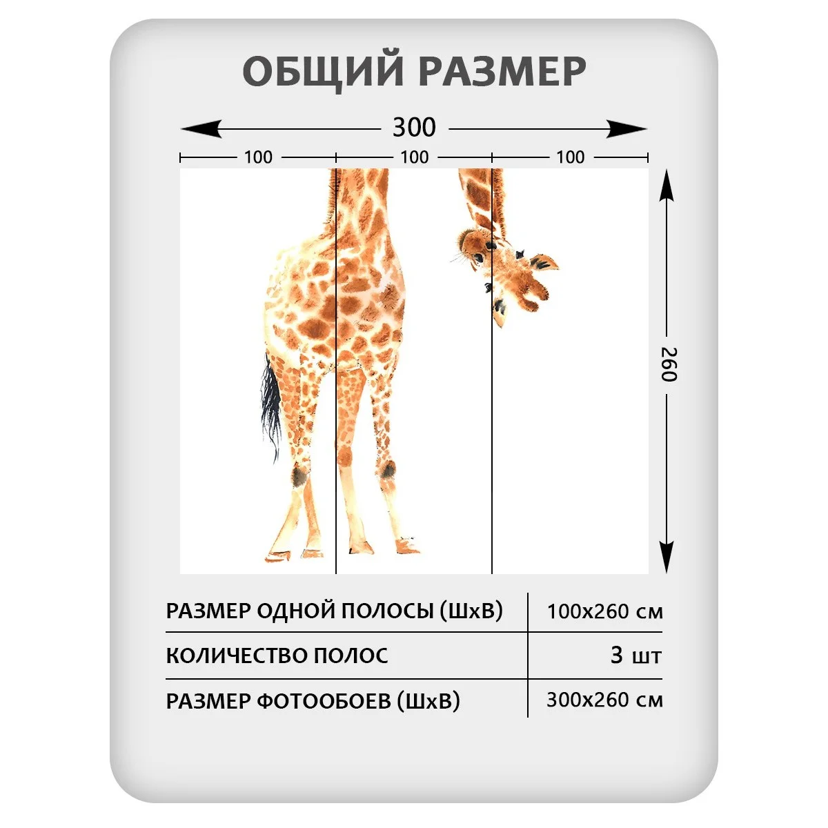 Фотообои рулонные Citydecor Детская 113 на флизелиновой основе 300x260 см