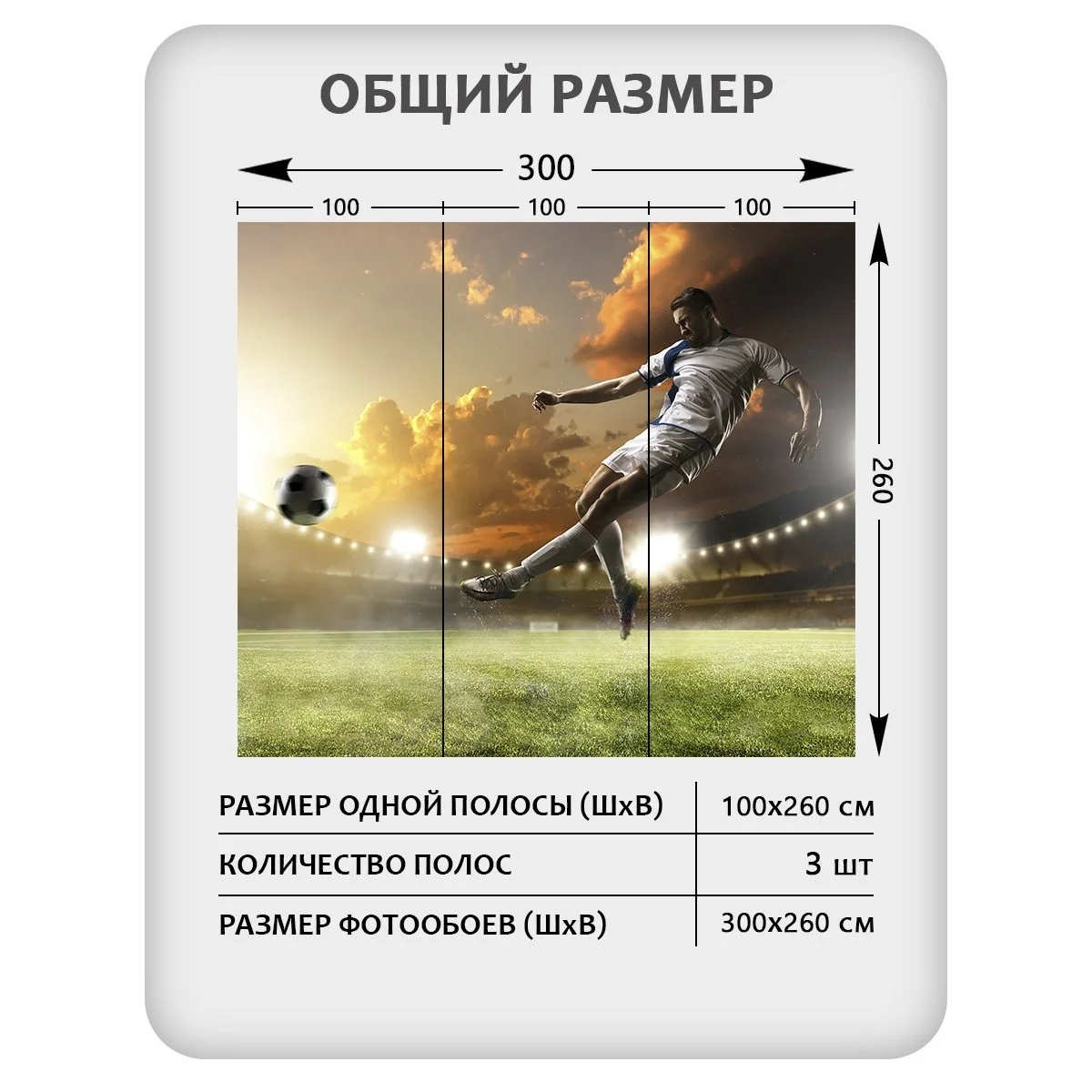 Фотообои рулонные Citydecor Детская 114 на флизелиновой основе 300x260 см