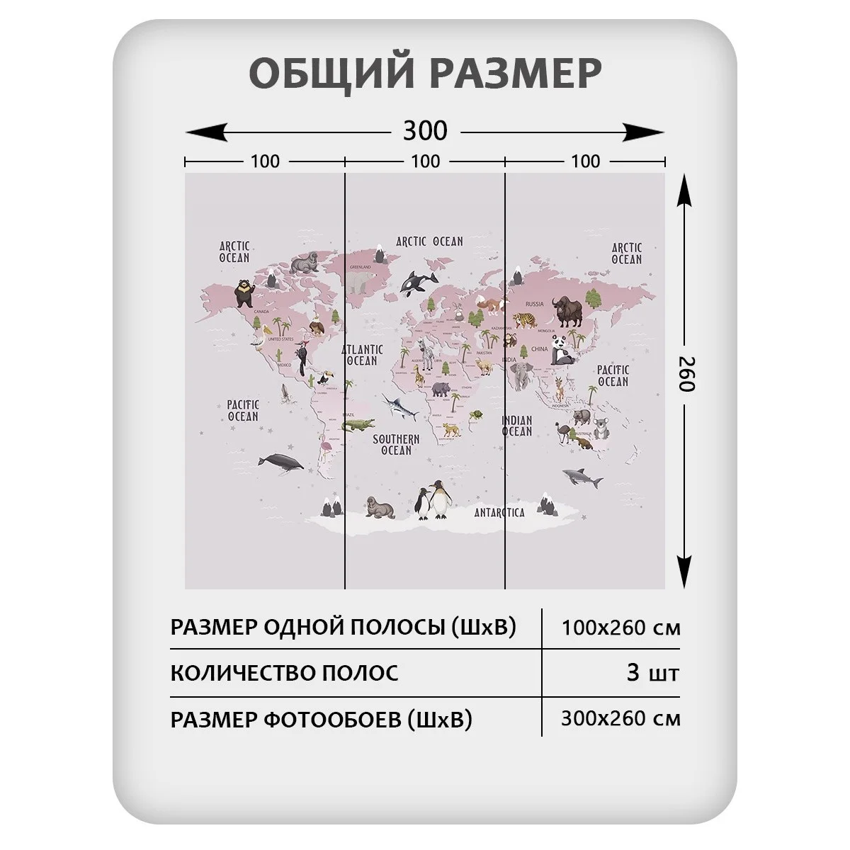 Фотообои рулонные Citydecor Детская (карта мира) 172 на флизелиновой основе 300x260 см