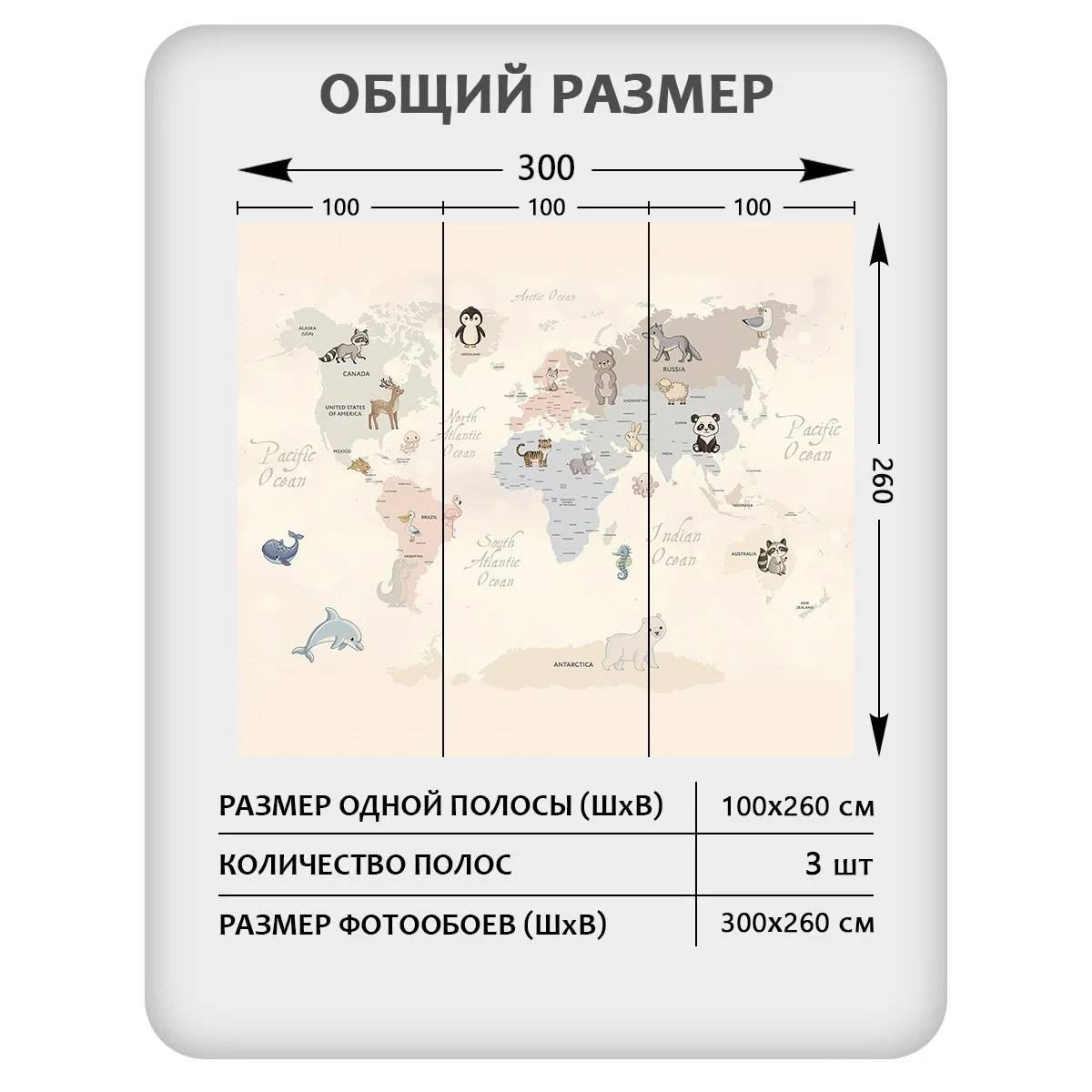 Фотообои рулонные Citydecor Детская (карта мира) 174 на флизелиновой основе 300x260 см