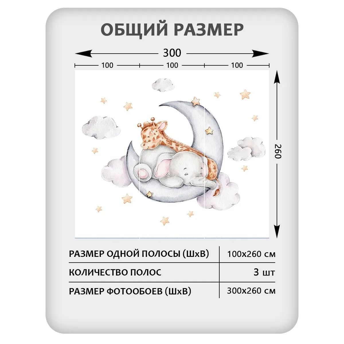 Фотообои рулонные Citydecor Детская 435 на флизелиновой основе 300x260 см