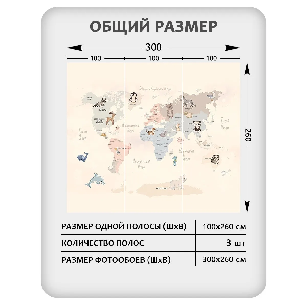 Фотообои рулонные Citydecor Детская (карта мира) 440 на флизелиновой основе 300x260 см