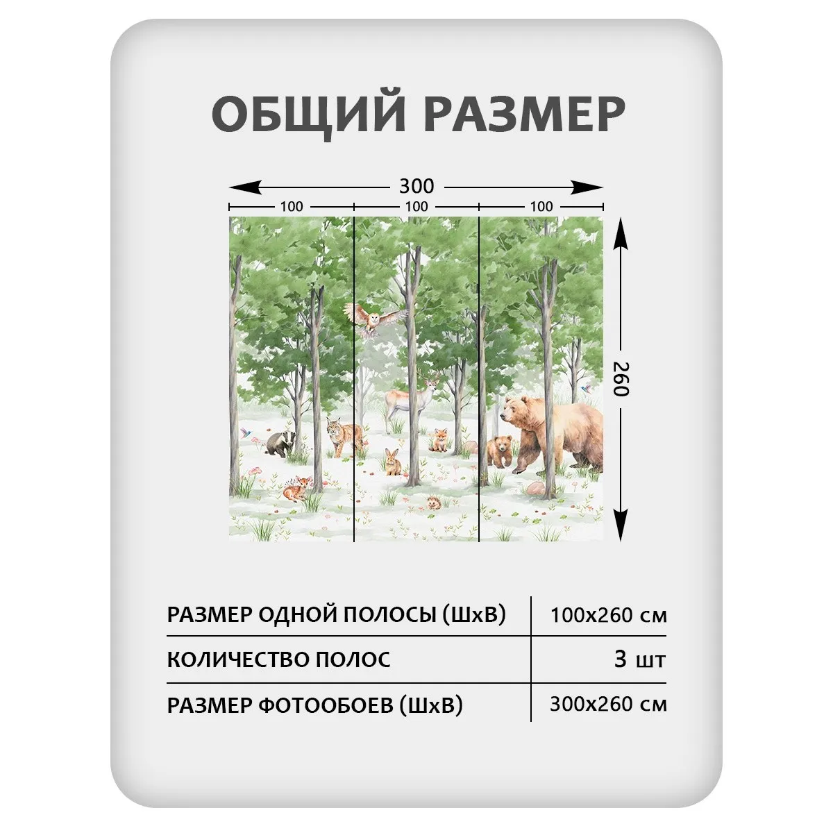 Фотообои рулонные Citydecor Детская 471 на флизелиновой основе 300x260 см