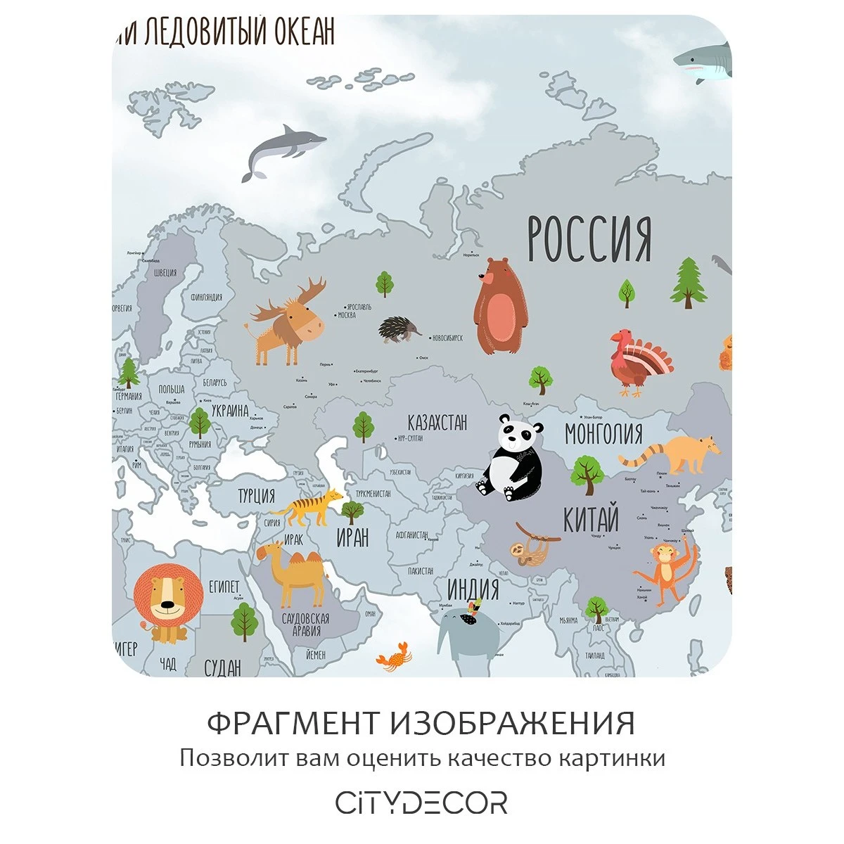 Бесшовное панно Citydecor Детская (карта мира) 59 на флизелиновой основе 300x270 см