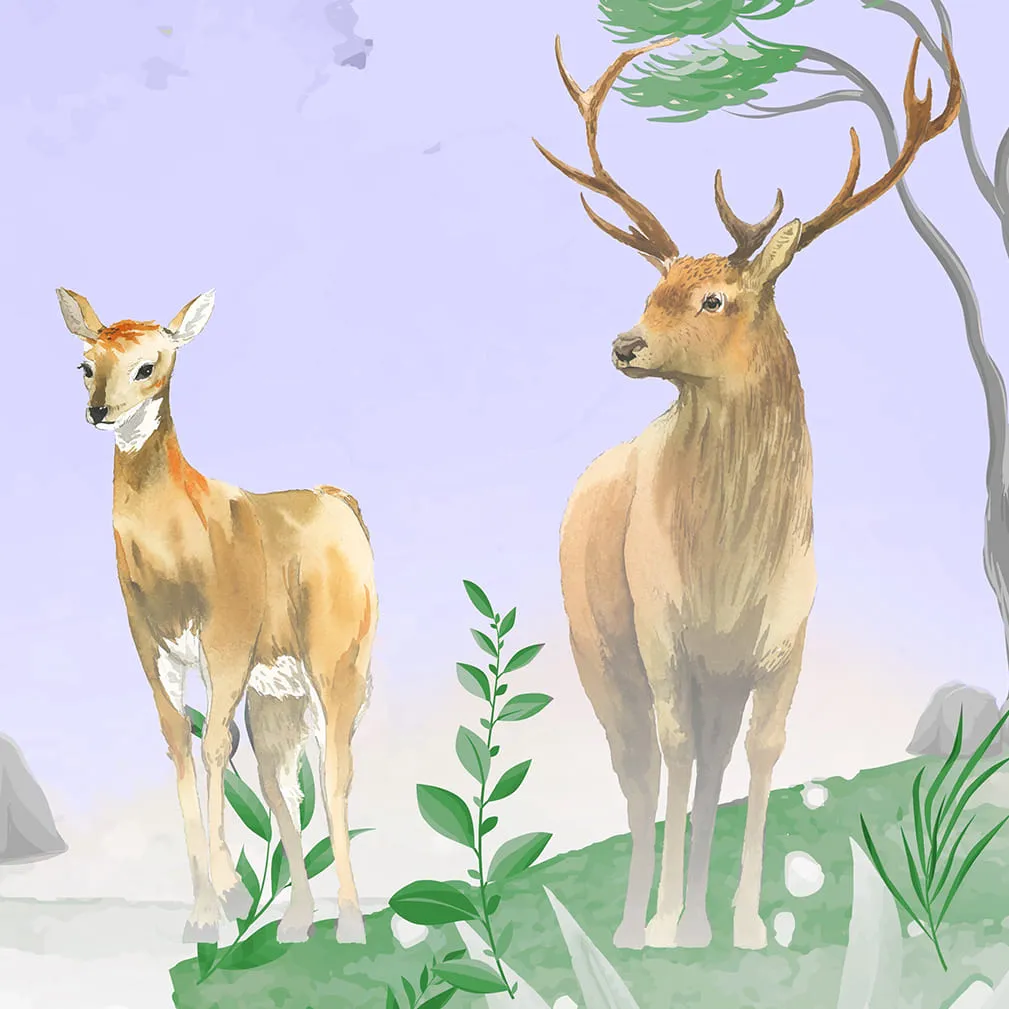 Фотообои рулонные Citydecor Детский сюжет 4 на флизелиновой основе 300x260 см