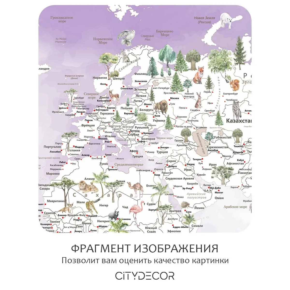 Фотообои рулонные Citydecor Джунгли зовут 20 на флизелиновой основе 300x260 см