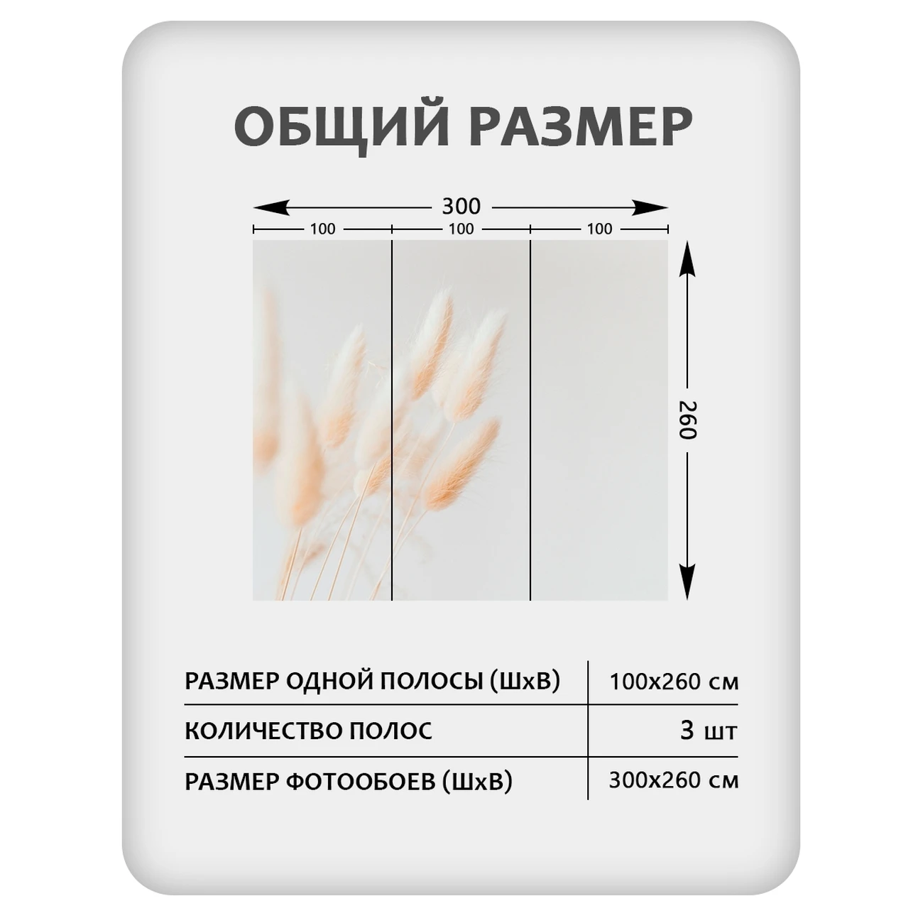 Фотообои рулонные Citydecor Цветы и Растения 235 на флизелиновой основе 300x260 см