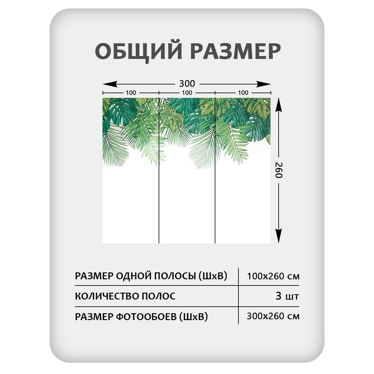 Фотообои рулонные Citydecor Цветы и Растения 237 на флизелиновой основе 300x260 см