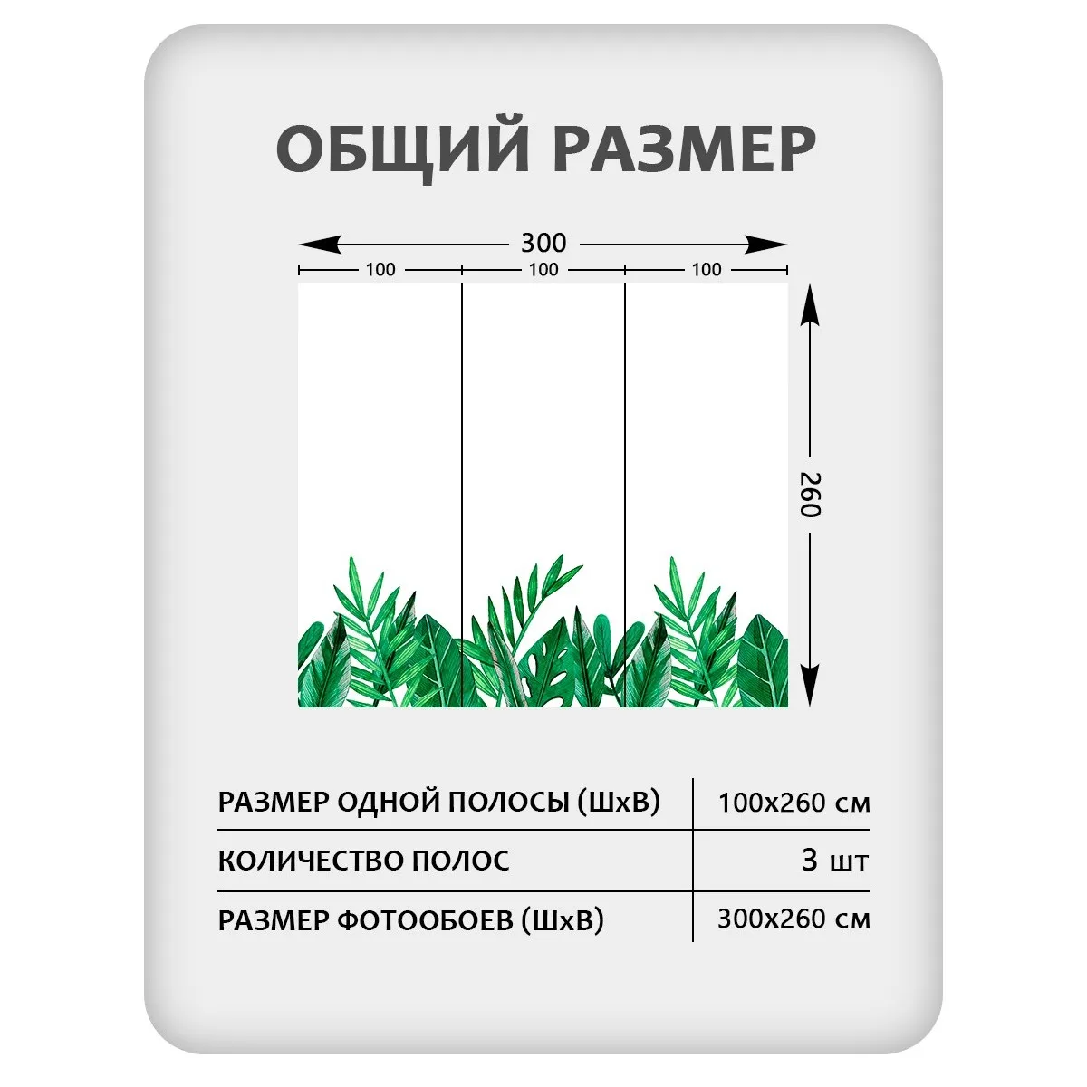 Фотообои рулонные Citydecor Цветы и Растения 238 на флизелиновой основе 300x260 см