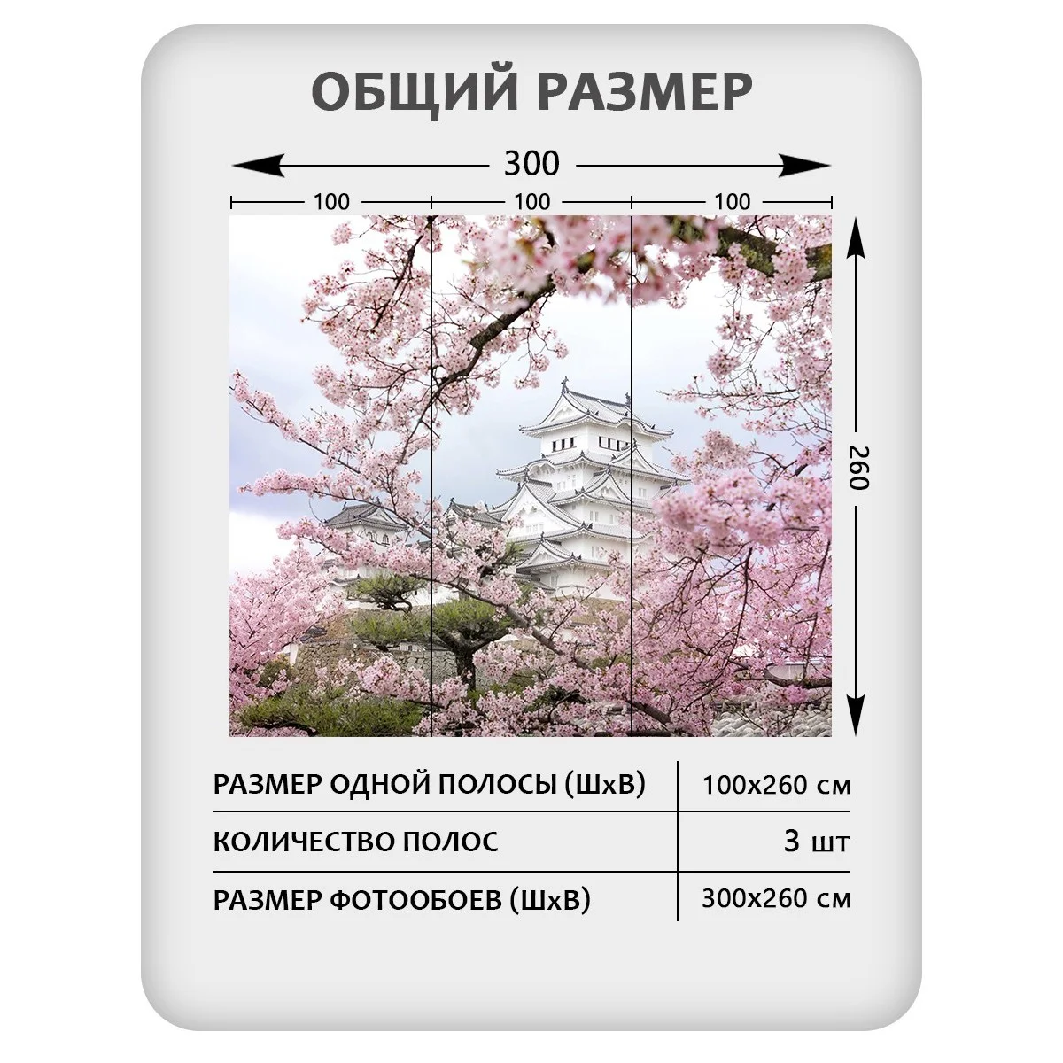 Фотообои рулонные Citydecor Цветы и Растения 33 на флизелиновой основе 300x260 см