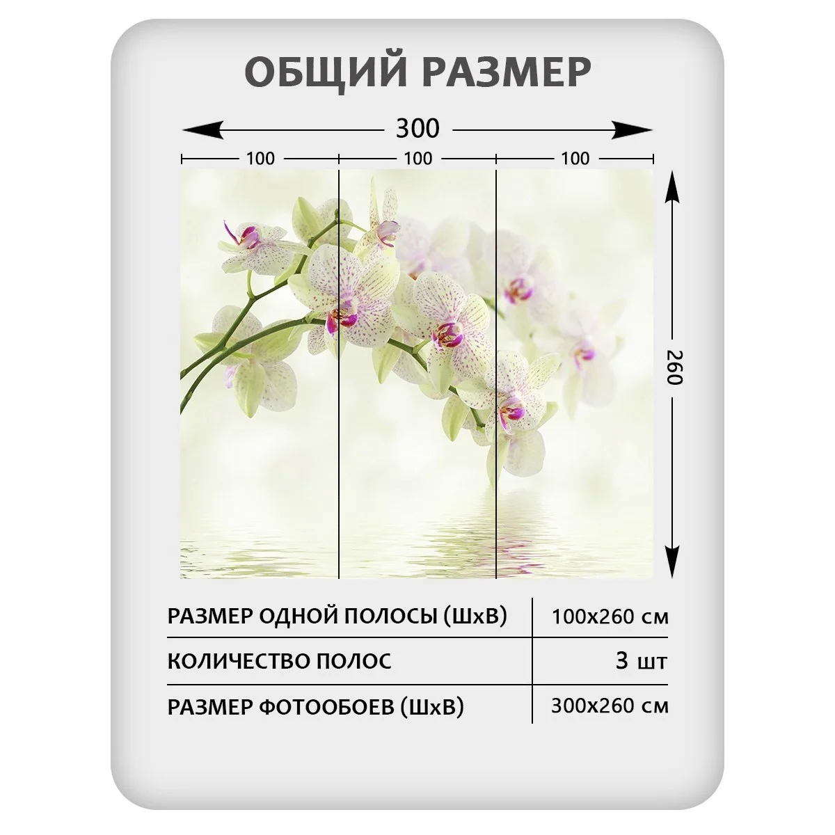 Фотообои рулонные Citydecor Цветы и Растения 34 на флизелиновой основе 300x260 см