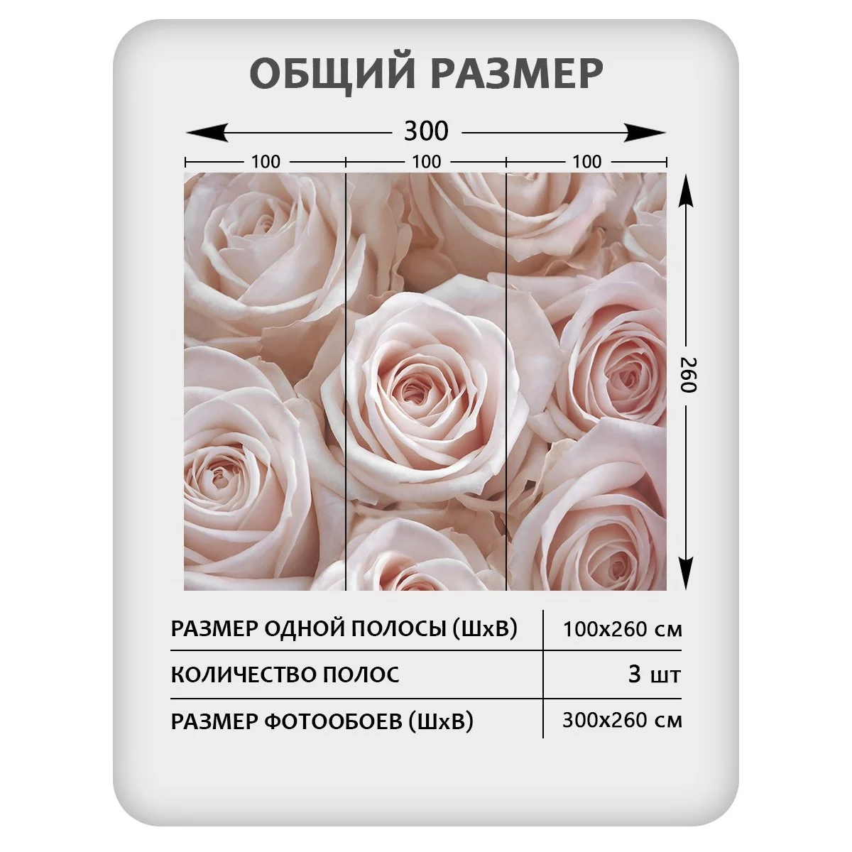 Фотообои рулонные Citydecor Цветы и Растения 36 на флизелиновой основе 300x260 см