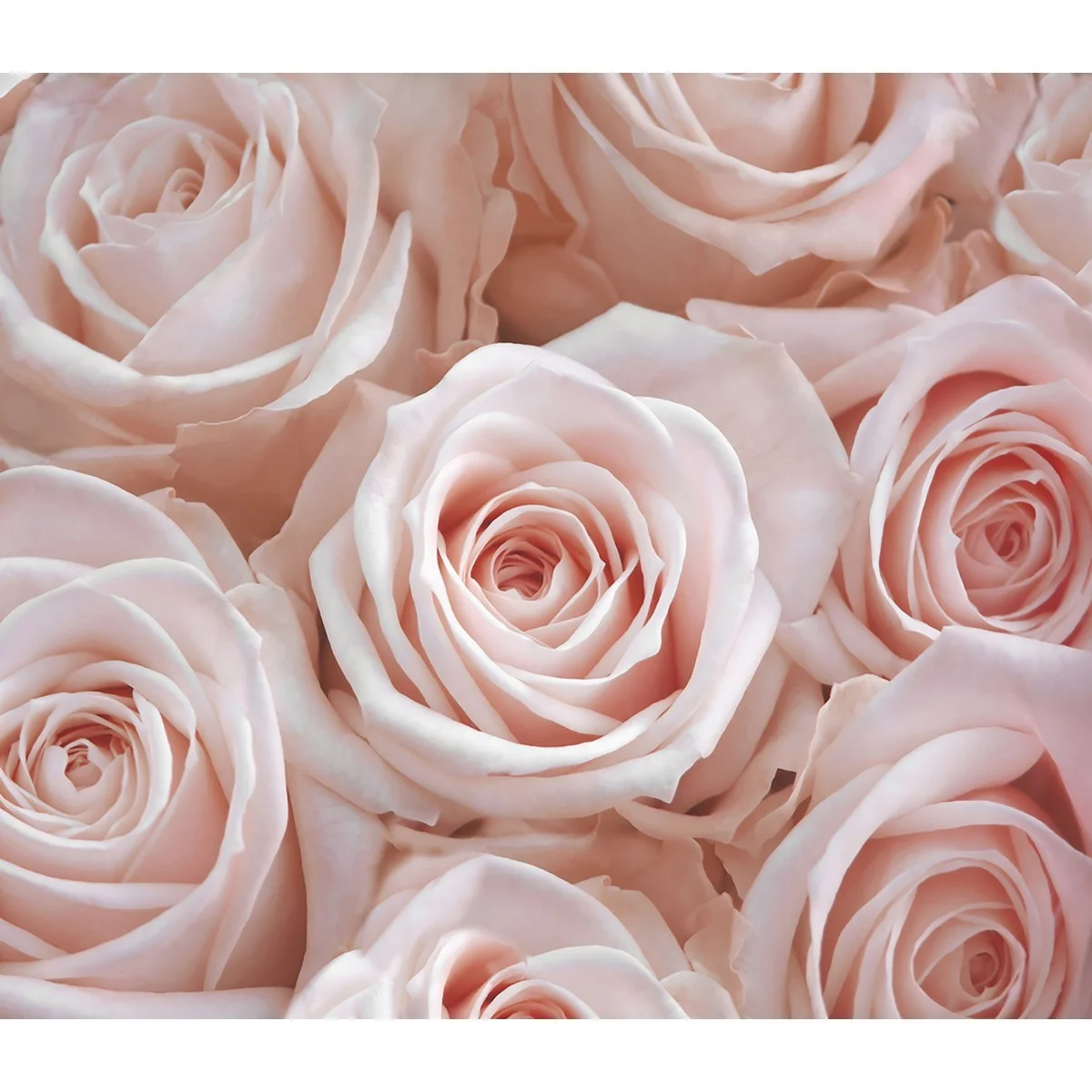 Фотообои рулонные Citydecor Цветы и Растения 36 на флизелиновой основе 300x260 см