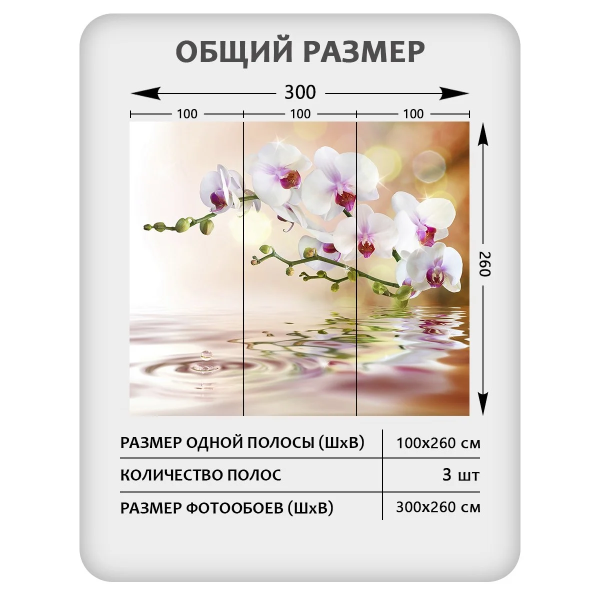 Фотообои рулонные Citydecor Цветы и Растения 38 на флизелиновой основе 300x260 см