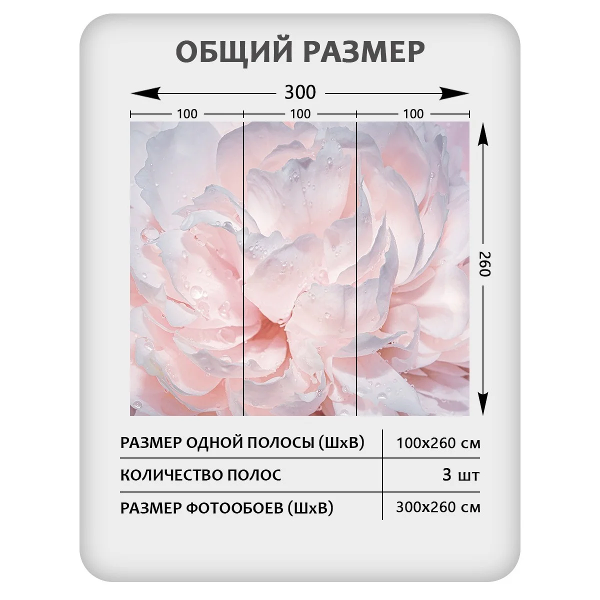 Фотообои рулонные Citydecor Цветы и Растения 40 на флизелиновой основе 300x260 см