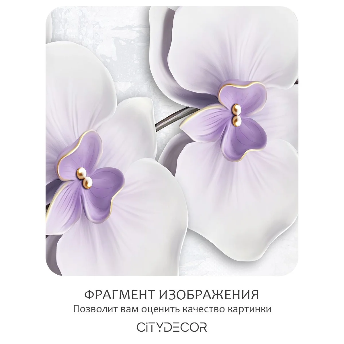 Фотообои рулонные Citydecor Цветы и Растения 42 на флизелиновой основе 300x260 см