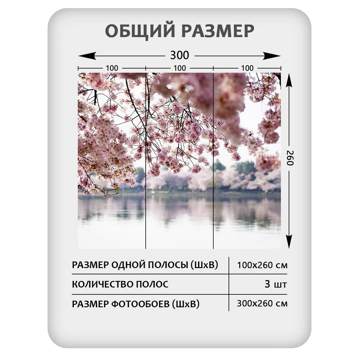 Фотообои рулонные Citydecor Цветы и Растения 49 на флизелиновой основе 300x260 см