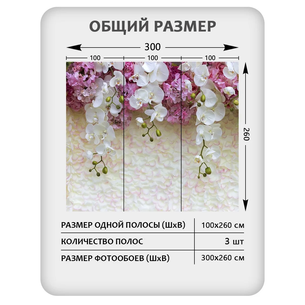 Фотообои рулонные Citydecor Цветы и Растения 50 на флизелиновой основе 300x260 см