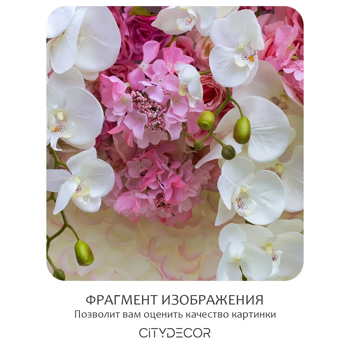 Фотообои рулонные Citydecor Цветы и Растения 50 на флизелиновой основе 300x260 см